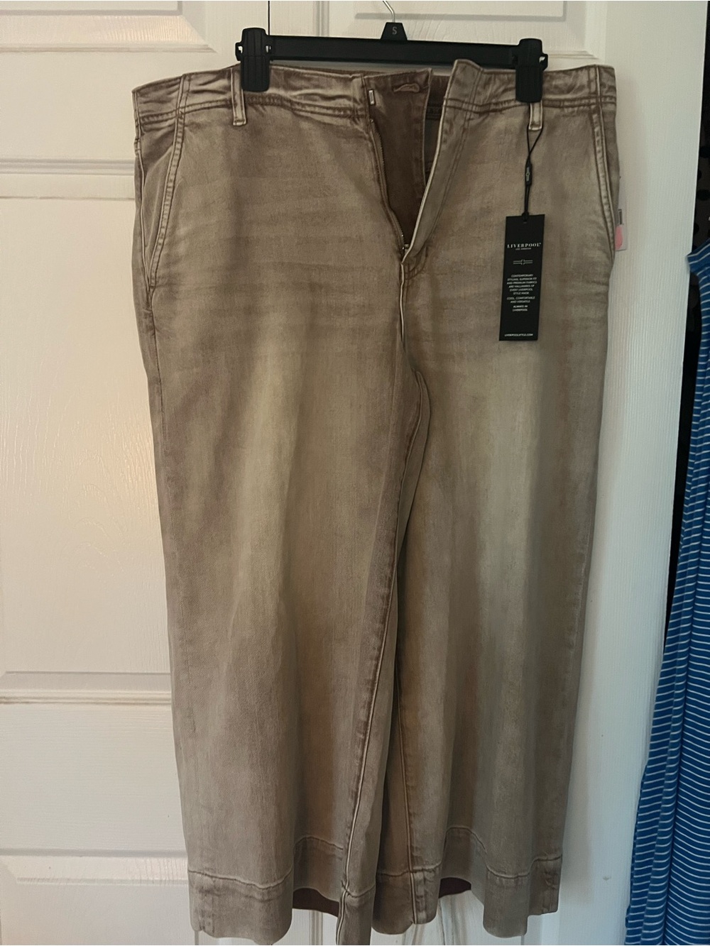 Liverpool Wide-Leg Jeans in Taupe Wash Size 14P NWT